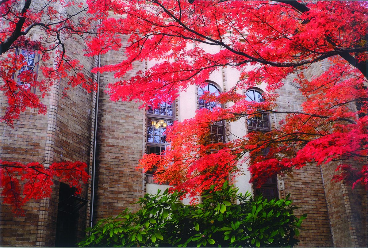 11月　深まる秋の窓辺　撮影：江森博子